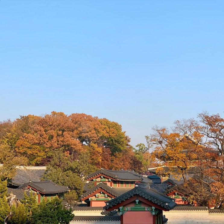  #201124 북촌 - 계동 밀양손만두, 원서동 카페 홍시궁