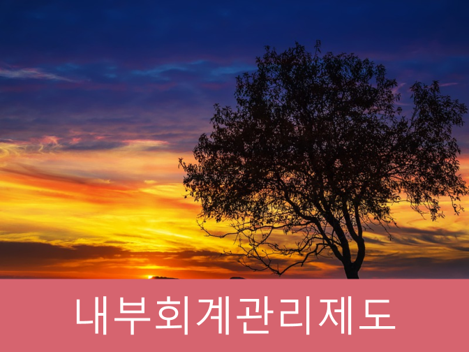  내부회계관리제도 규정, 유의사항 10분 정리 TIP!!