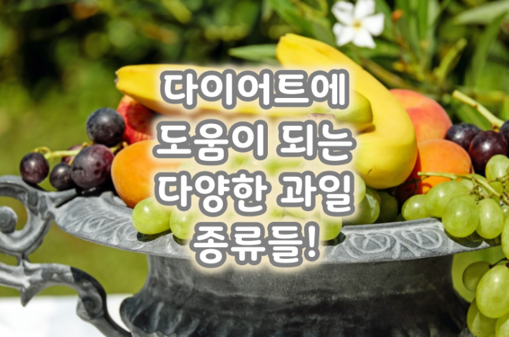  다이어트에 도움이 되는 다양한 과일 종류들!