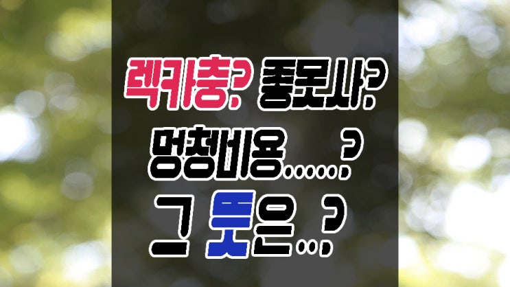  렉카충 뜻 남아공 뜻 그외 자주 쓰는 신조어와 줄임말들 의미는?