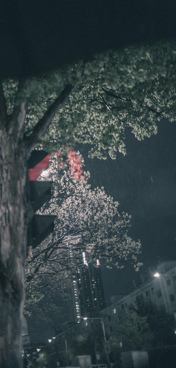  2020.04.19 - snap