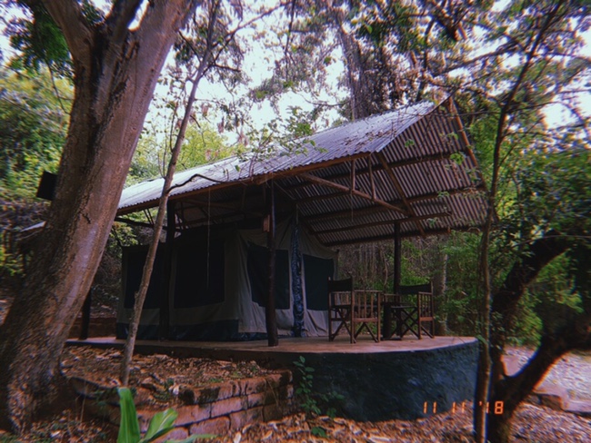 [탄자니아/키고마] Jakobsen Guest House #숲속 캠핑장/코티지