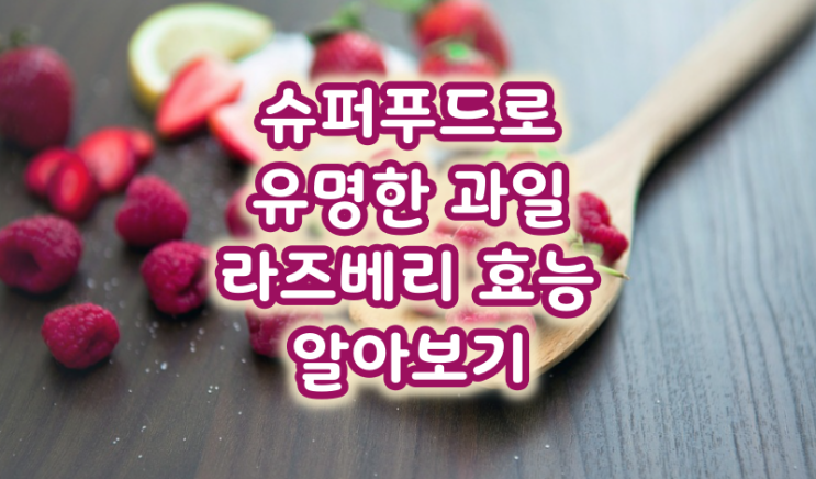  슈퍼푸드로 유명한 과일 라즈베리 효능 알아보기