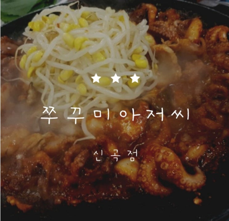  [의정부 쭈꾸미] 쭈꾸미맛이 살아있는 "쭈꾸미아저씨"