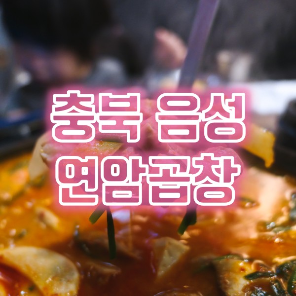  음성 충북혁신도시 곱창 맛집 연암곱창