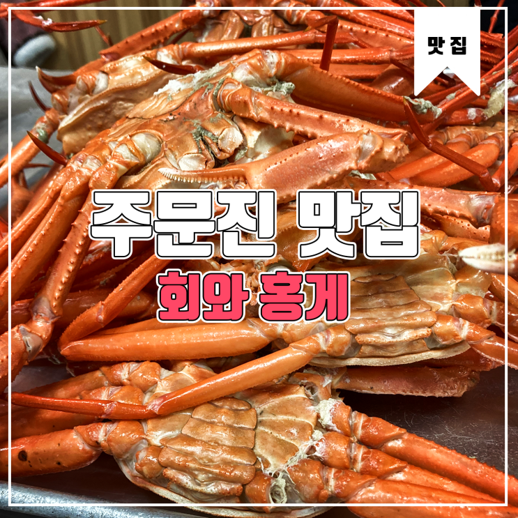  [주문진 맛집] 민자횟집, 낙원식당 회와 홍게 먹부림