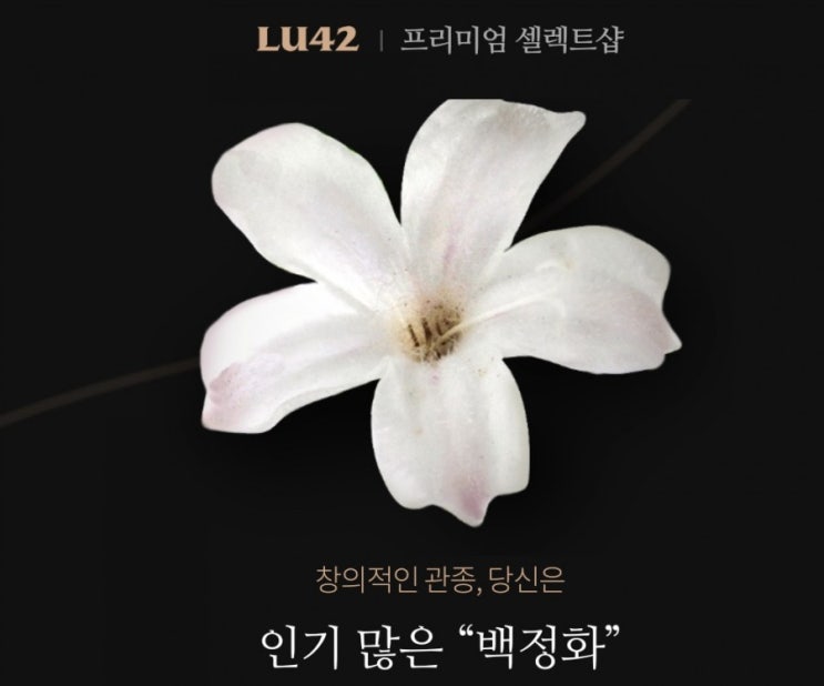 꽃으로보는 나의성향테스트 당신은어떤꽃인가요