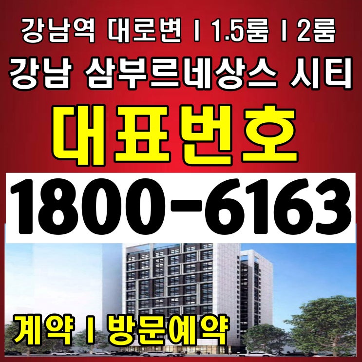 강남역 역세권 대로변 강남 삼부 르네상스 시티 분양~