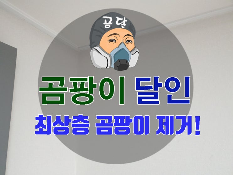  최상층 곰팡이 제거 깨끗하게 해결하기!