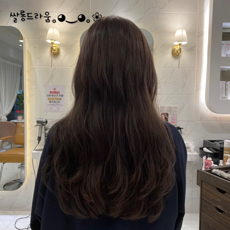  그레이지 염색