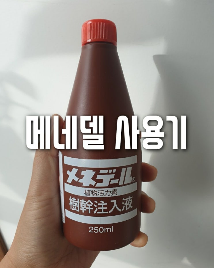  메네델