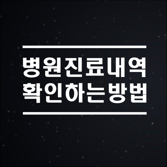  병원 진료내역 확인하는 방법 3가지 (정부24,국민건강보험,홈텍스)