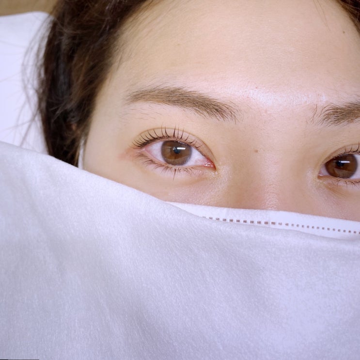  답십리 속눈썹, 용답 속눈썹펌 잘하는곳 :: 인더눈 in the noon