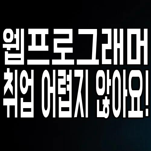  웹프로그래머 : 개발자로 취업 어렵지 않아요!