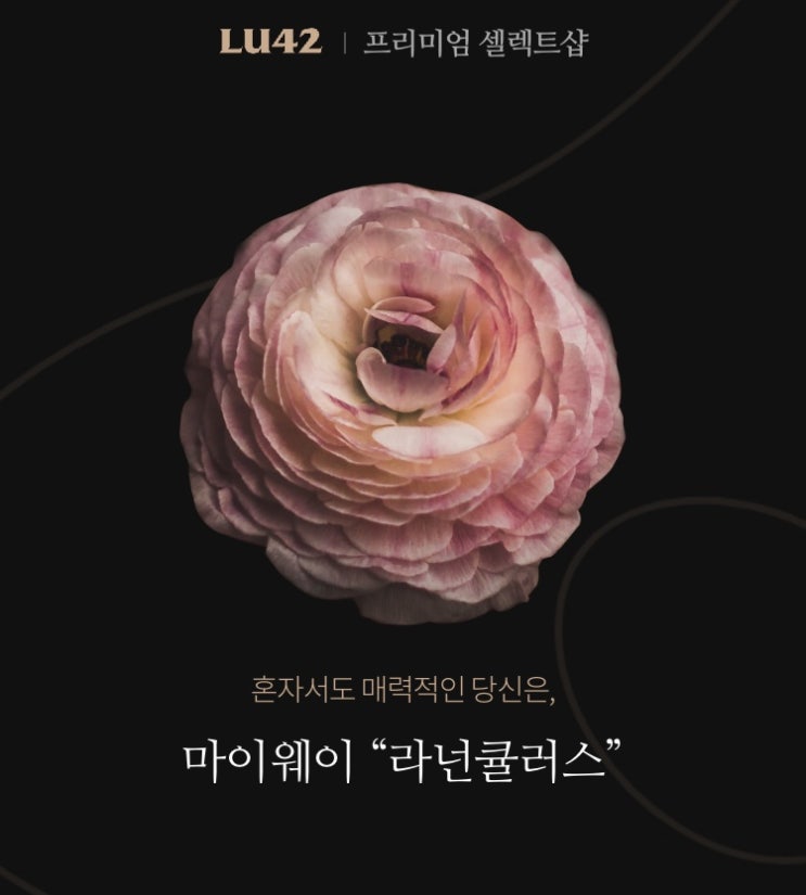 [플라워 MBTI] 꽃 테스트 마이웨이 라넌큘러스 (+링크)