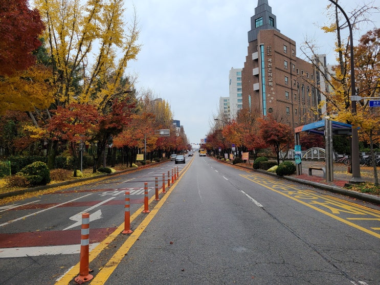  [일상] 정류장 잘 못 내린 날 예쁜 길 발견!!