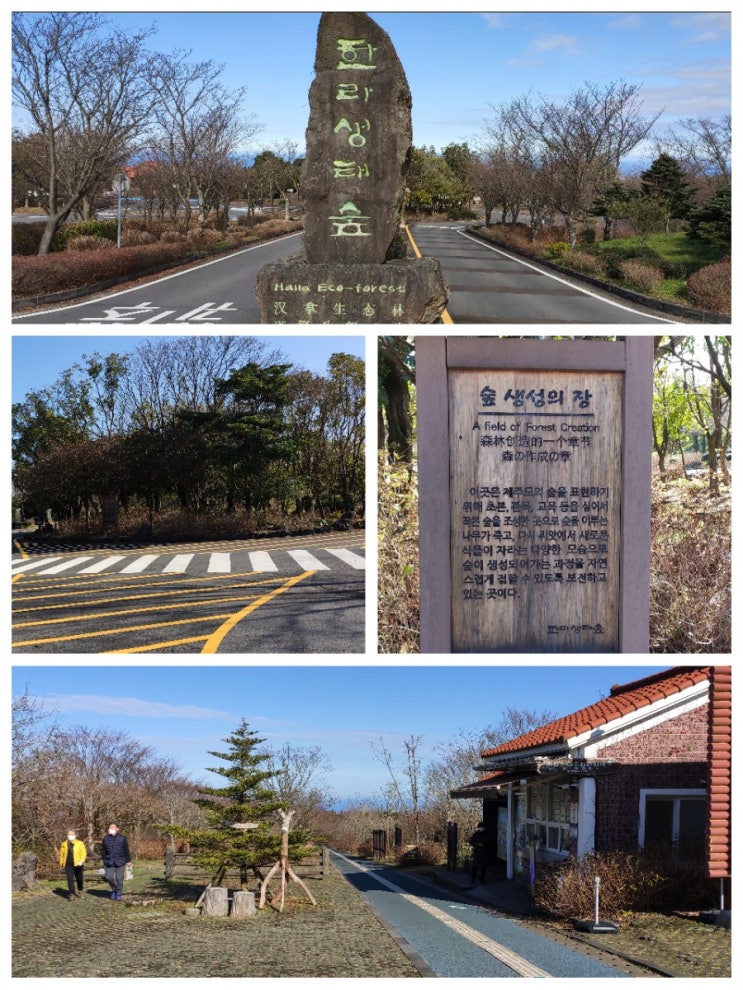 한라생태숲과 개월이 삼봉 그리고 마방목지까지