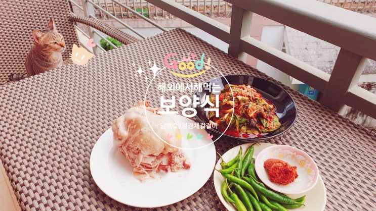  전기밥솥으로 삼계탕 만들기[백숙 재료/보양식/청경채 겉절이]