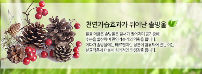  솔방울 예쁜거로만 골라서 0.5~1kg