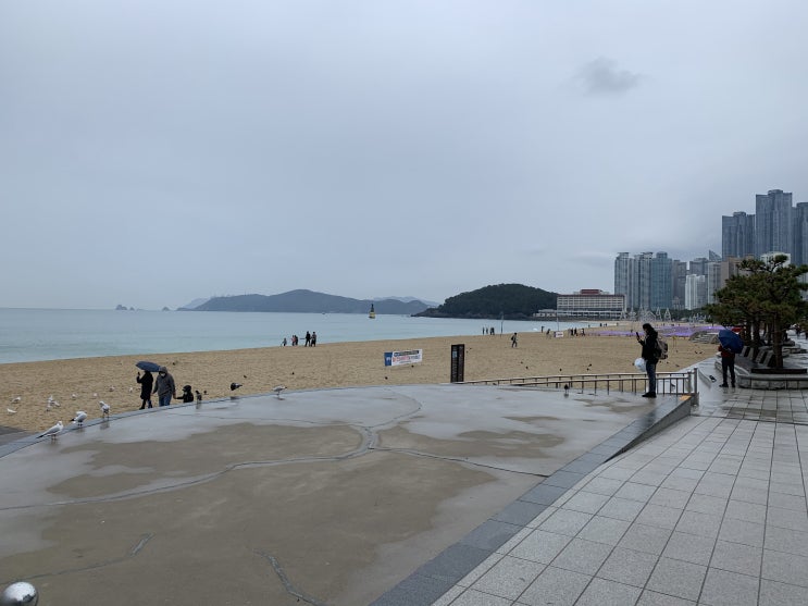  [리뷰] 해운대 겨울바다