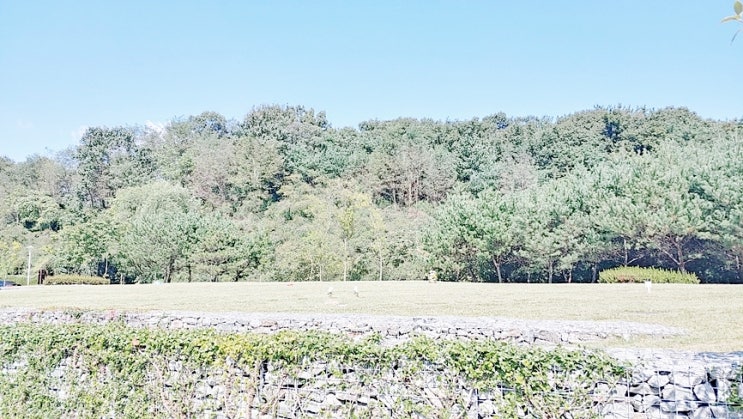 쾌한 부동산 썰 찾기 힘든 전세를 찾은 유쾌한 분양킴