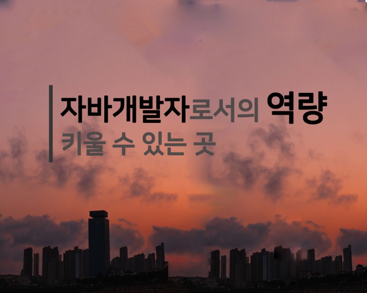  혼자서 준비하기엔 버거운 자바 개발자로서의 역량 서울IT직업전문학교에서 겟 하자