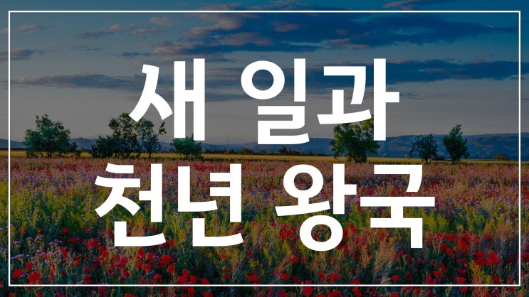 새일교회 | 새 일과 천년왕국 새일교회 | 새 일과 천년왕국
