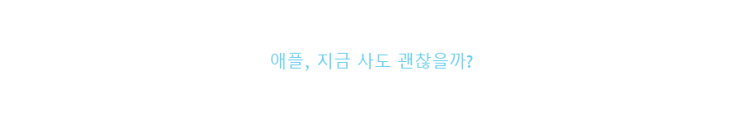  애플 전망 / 애플 지금 사도 괜찮을까?