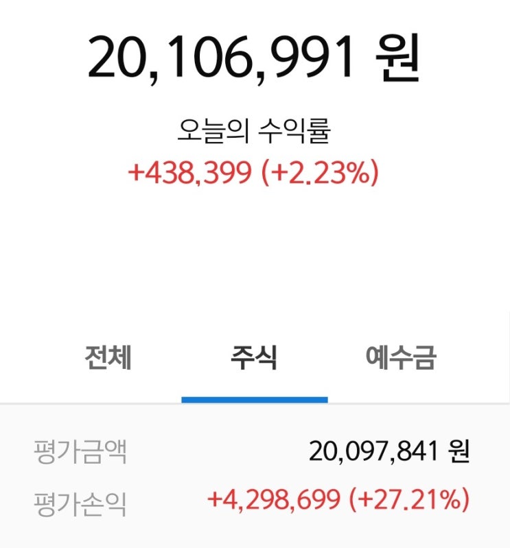  미국 주식 투자 최대 수익과 2천만원 달성
