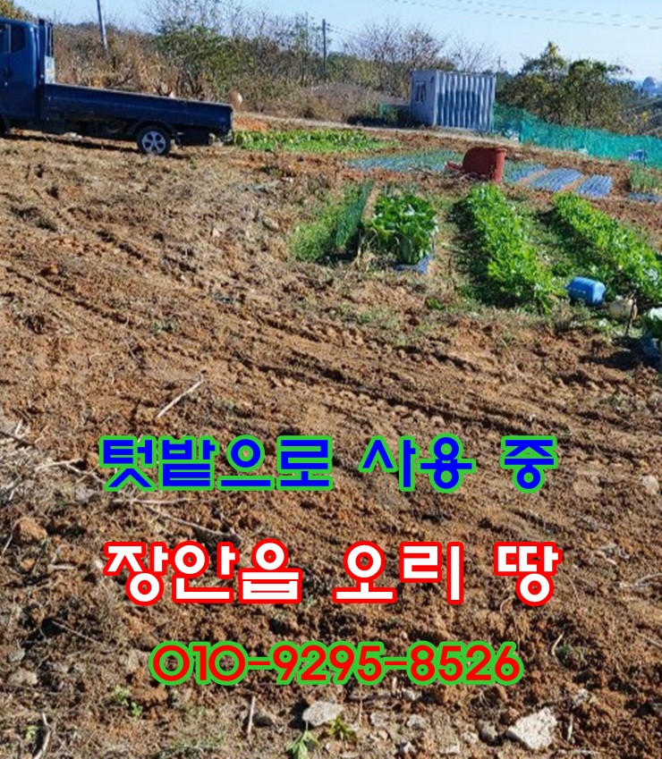  기장군 장안읍 오리 텃밭으로 사용하는 땅 매매