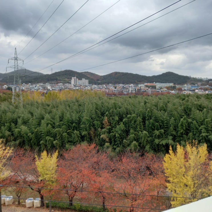  태화강 철새홍보관