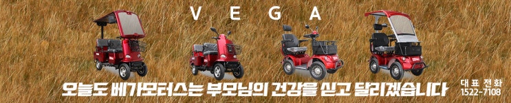  고령자 운전 제한 필요하나 인권 이동권도 고려하고 배려하는 하나의 방안으로 노인분들을 위한 저속전기차가 그 답이라 생각합니다 노인전동차 노인전동스쿠터 초소형전기차
