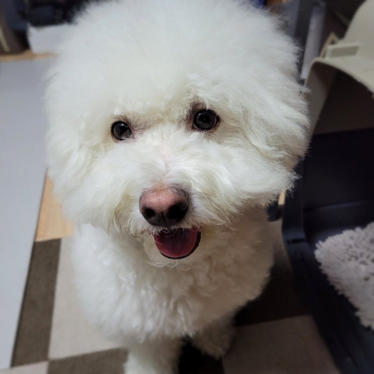 네이티브 스피커는 "무조건" "반드시" "어떻게든" 을 영어로 어떻게 말할까? 네이티브 스피커는 "무조건" "반드시" "어떻게든" 을 영어로 어떻게 말할까?