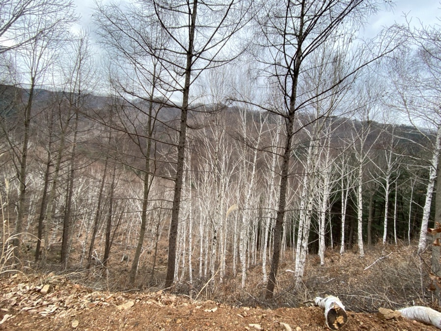명성골 사진 6
