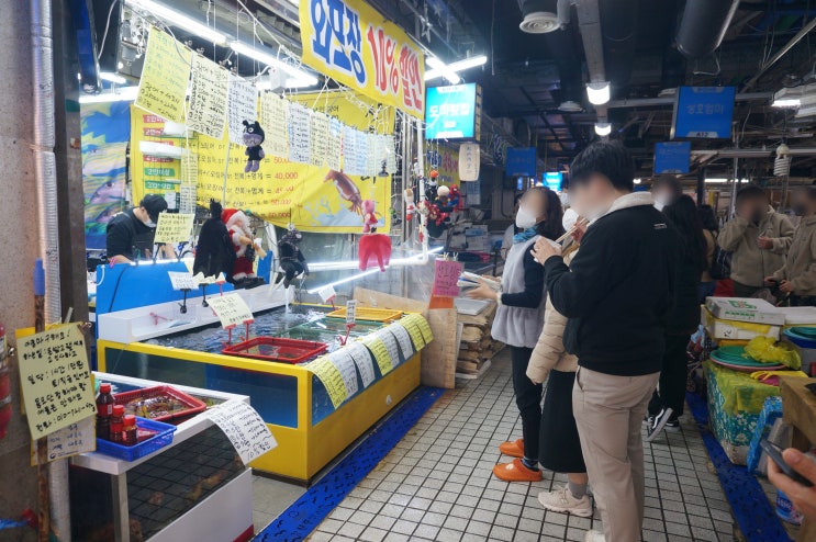  [강릉중앙시장회센터 도마횟집]방어,광어,우럭 포장