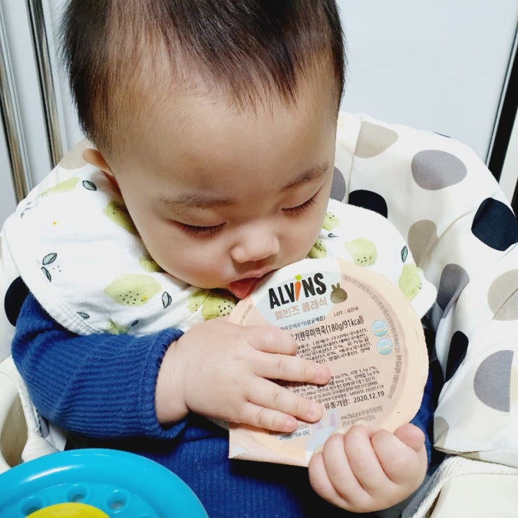  엘빈즈 정기식단 에브리데이 / 엘빈즈 이유식 중기 시작!