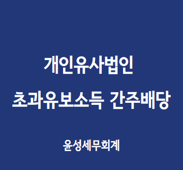  개인유사법인 초과 유보소득 배당간주