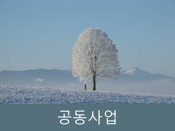  [절세] 공동사업 장점, 절차, 세금신고까지 단번에 정리!!