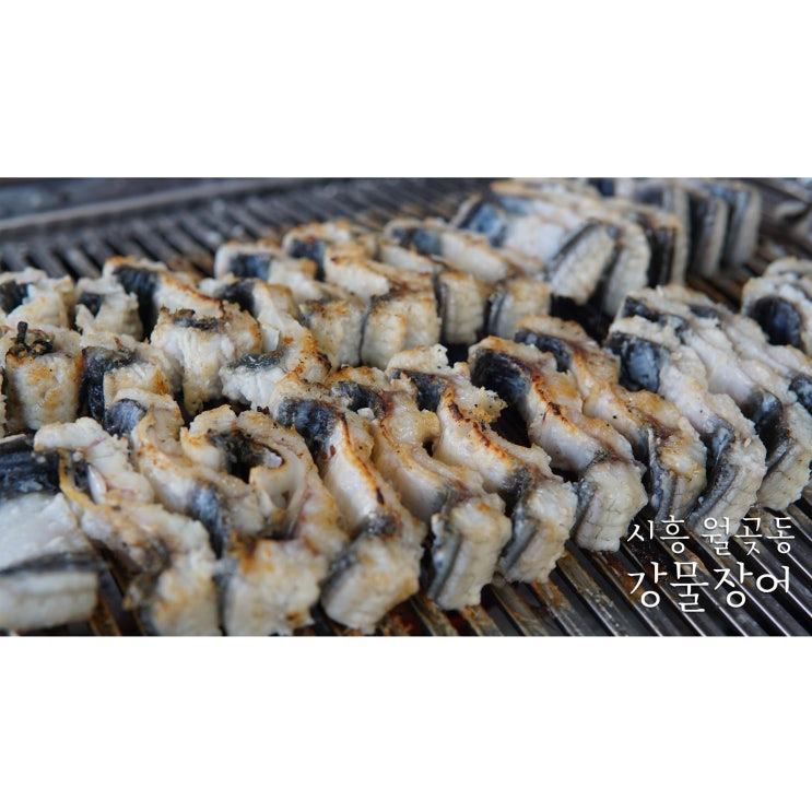  배곧장어 월곶역맛집 강물장어가 특별히 맛있는 이유