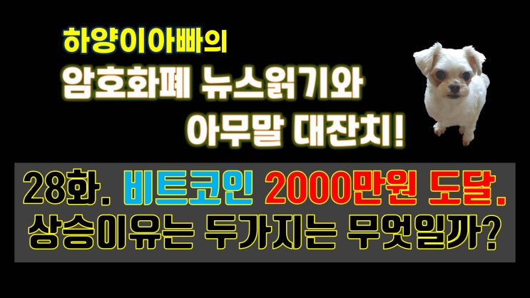  [아무말대잔치] 28화. 비트코인 2000만원 도달. 상승이유는 두가지는 무엇일까?