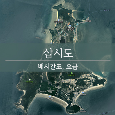  삽시도 - 대천 고대도 장고도 배편 배시간 예약