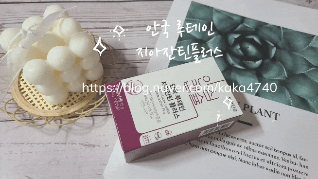 건강한 눈건강 ! 눈영양제 추천 : 루테인 관리는 안국루테인지아잔틴플러스 눈건강솔루션잔틴 건강한 눈건강 ! 눈영양제 추천 : 루테인 관리는 안국루테인지아잔틴플러스 눈건강솔루션잔틴