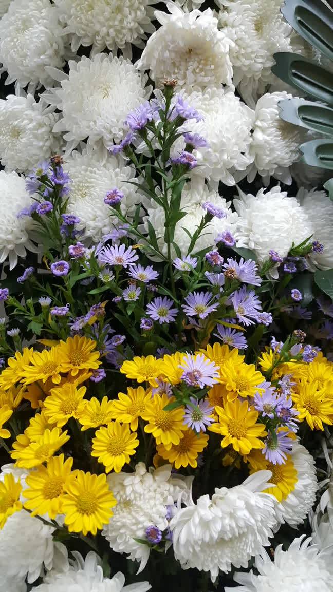  축구영웅 마라도나, 심장마비 사망... "우리와 함께 해주어 감사하고 언제나 그리울 것"