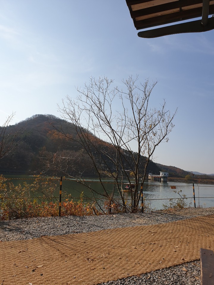  겨울산에서 _이해인