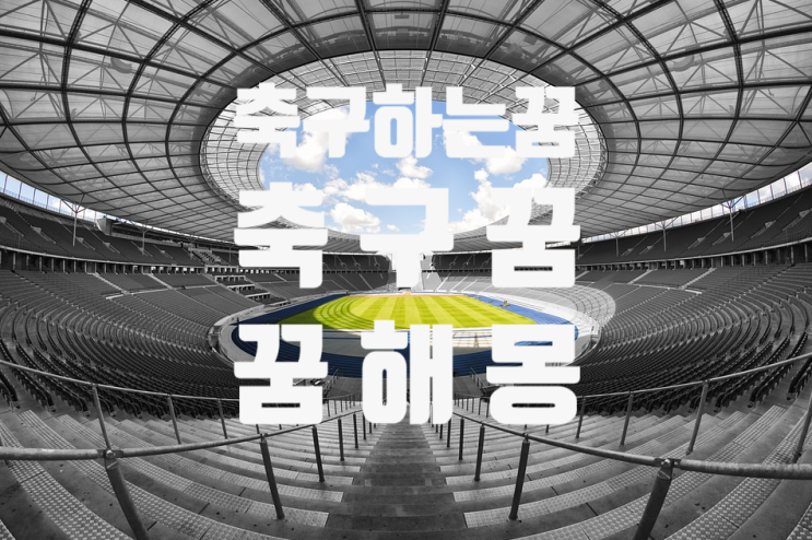  축구 하는 꿈 / 축구꿈 / 꿈해몽