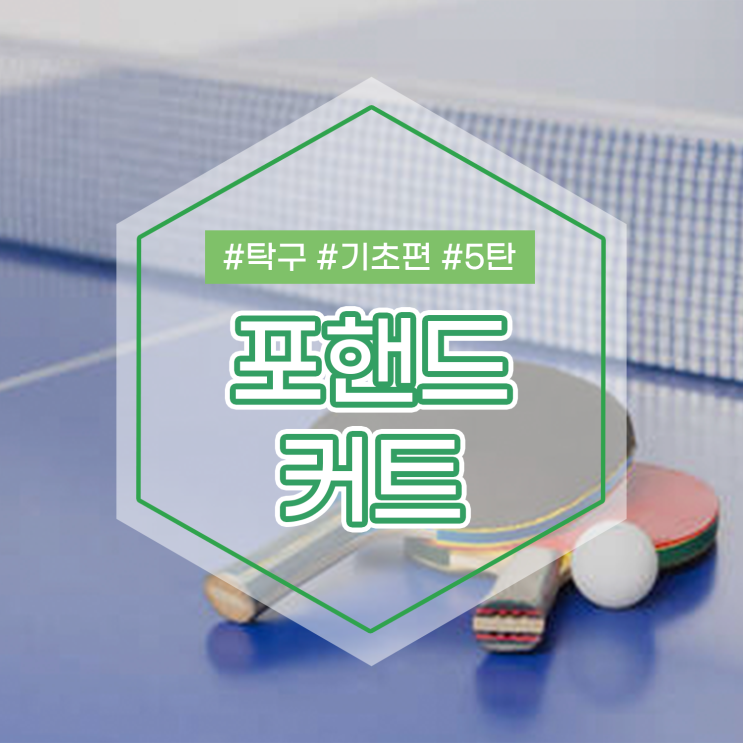  효미쌤이 알려주는 탁구 기본자세 기초편 5탄 포핸드 커트
