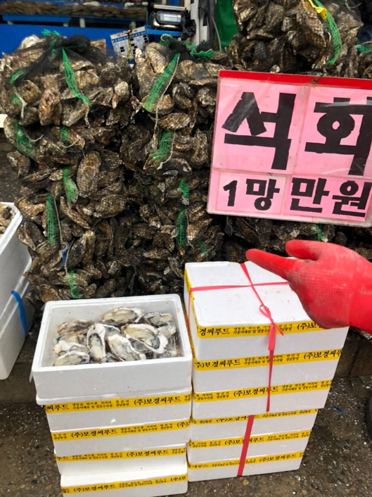 석화 굴 소래포구에서 사다가 제철 석화찜 굴회 집에서 해먹기