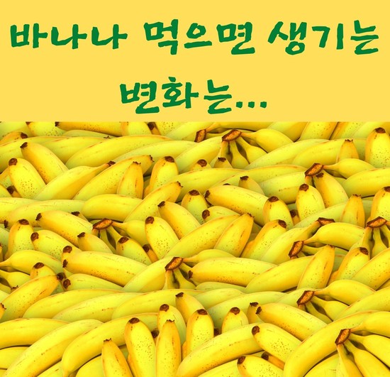  바나나먹으면나한테바나나?