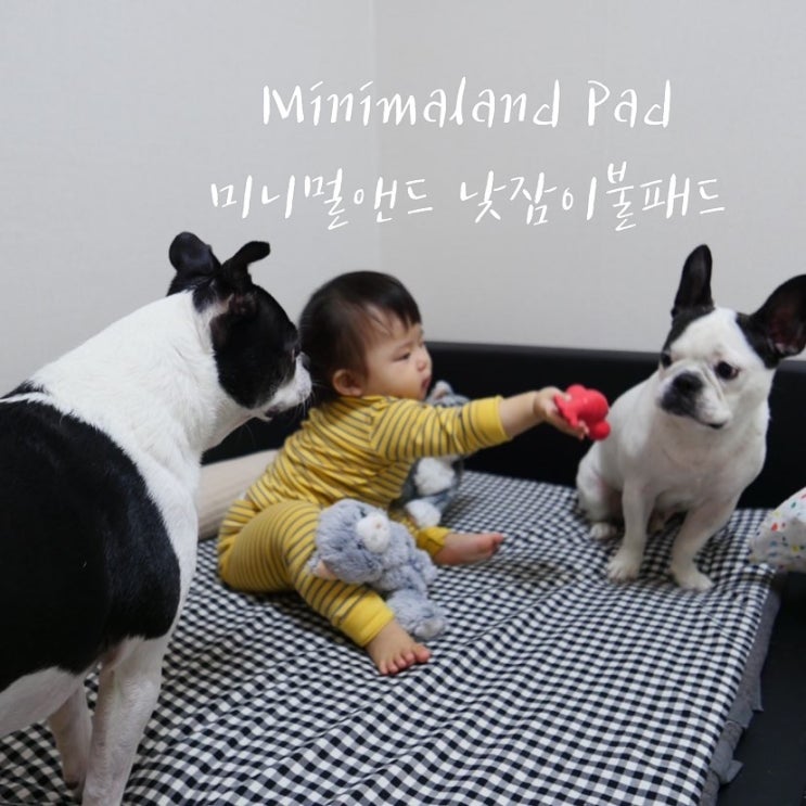  어린이집 낮잠이불 내돈내산 깅엄체크 광목패드 솔직후기