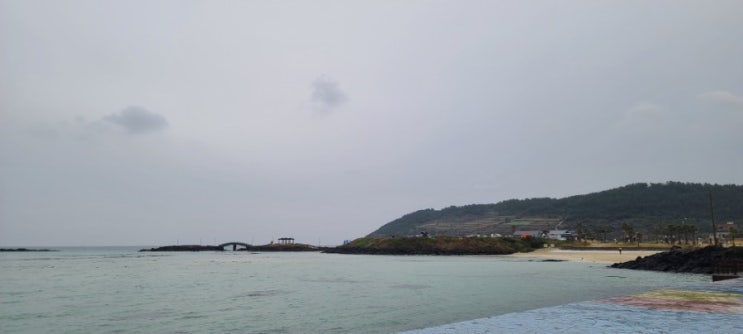  현재 제주도는 비가 오고 있어요~